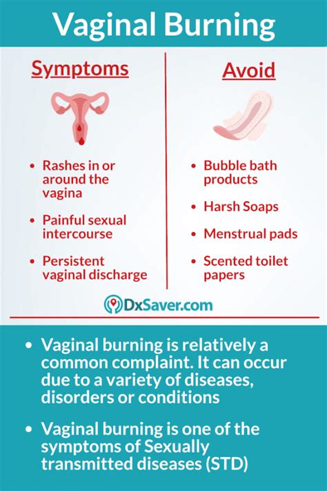 vagina throbbing meaning|Understanding Vaginal Fluttering: Causes and Risk。